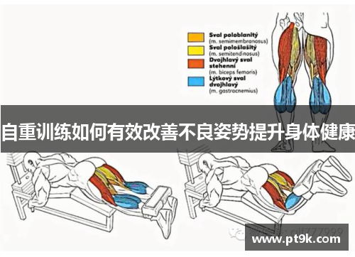自重训练如何有效改善不良姿势提升身体健康